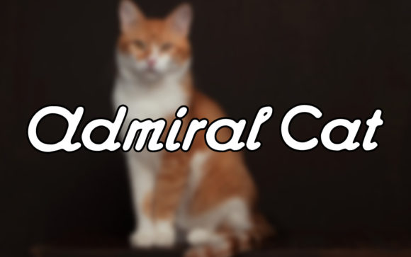 Admiral Cat: A Font for Creative Campaigns