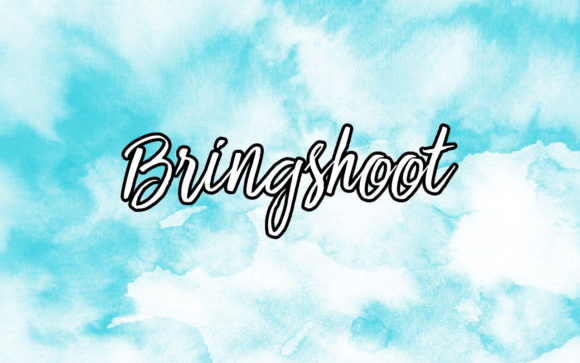 Bringshoot Review: A Creative Font for Real Projects