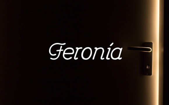 Feronia: A Handwritten Font for Clear Campaigns