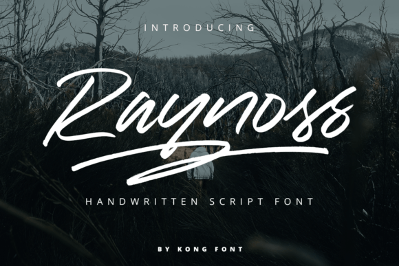 Raynoss: A Playful Font for Marketers